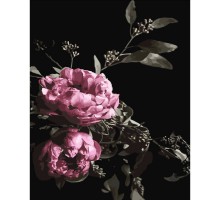 Картина за номерами Strateg ПРЕМІУМ Квіти на чорному тлі розміром 40х50 см (GS437)