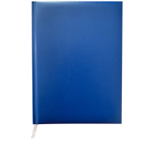 Щоденник недатований MASTER, А5, клітинка, синій