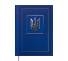 Щоденник недатований NATION, A5, синій
