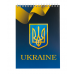 Блокнот на пружині зверху UKRAINE, А-5, 48арк., клітинка, картонна обкладинка, синій