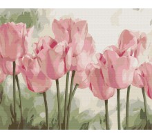 Картина за номерами "Ніжні тюльпані", 40*50, KIDS Line
