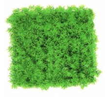 Акваріумна рослина Plants-килимок 25х25х2 см