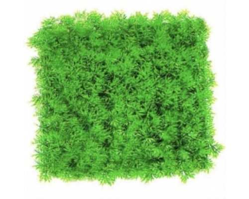 Акваріумна рослина Plants-килимок 25х25х2 см
